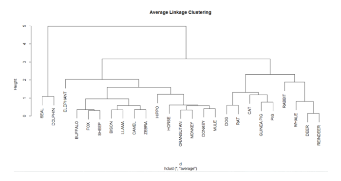 Step-by-step Guide for Implementation of Hierarchical Clustering in R