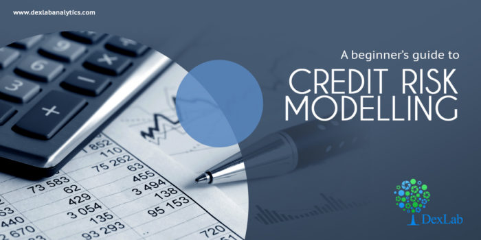 A Beginner’s Guide To Credit Risk Modelling